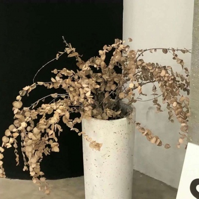 Furry插画手绘教程福瑞群